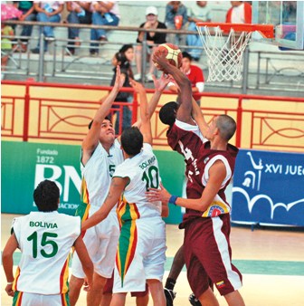 Basqueela_D13