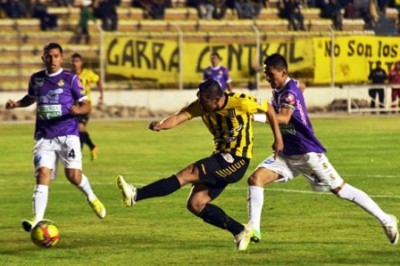 croo tigre rp