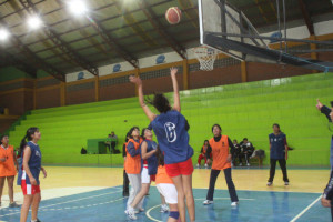 dep_16_2_basquet