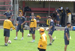 entrenamiento_tigre