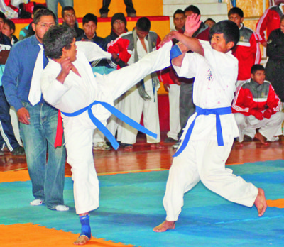 nacional_karate_320130825