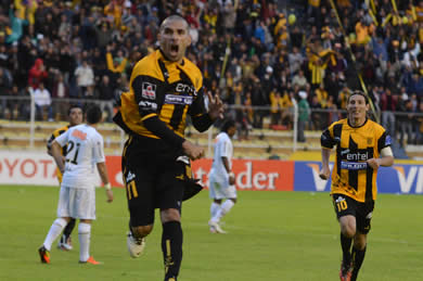 tigre4