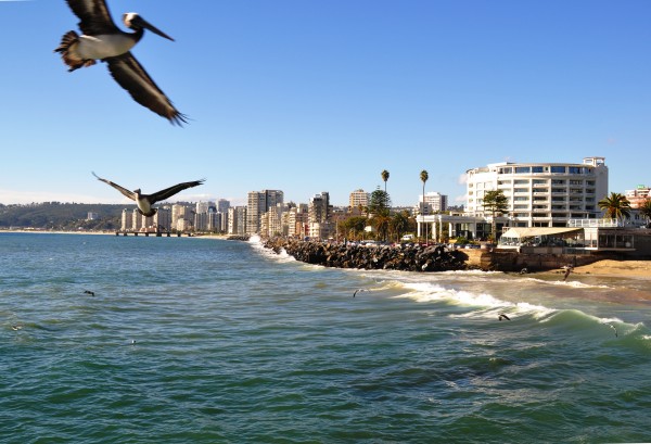 vina-del-mar-05