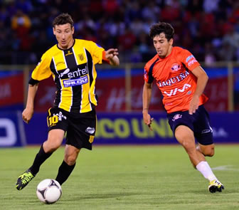 wilster-tigre