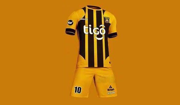 tigre_camiseta